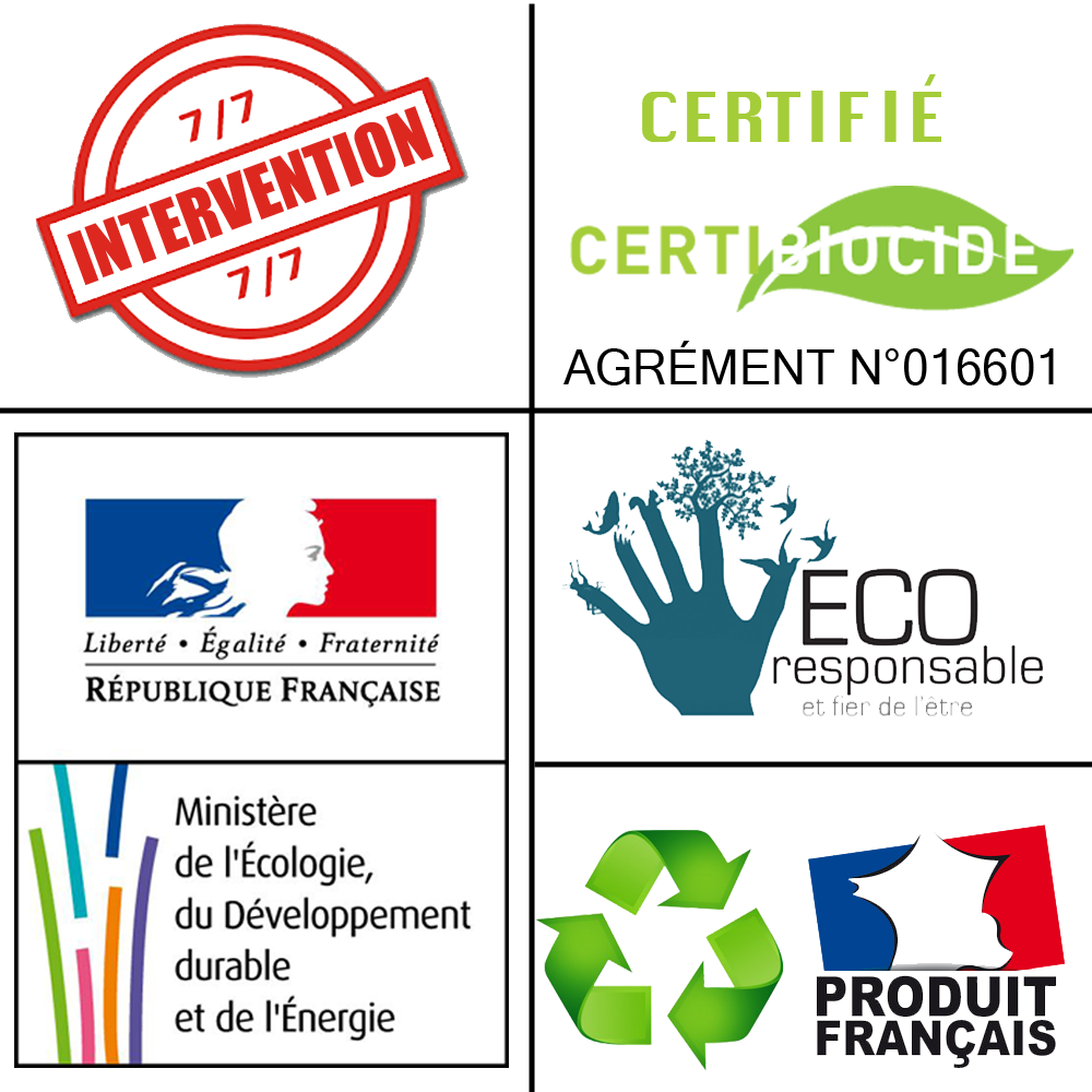 traitement eco responsable